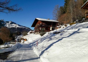 42 m² Apartment ∙ 1 bedroom ∙ 3 guests in Wengen