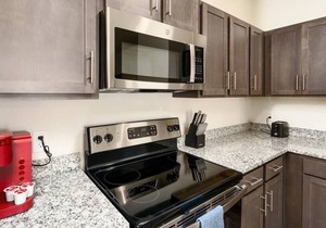 Texas Corporate Housing Professional Apartment in Buda