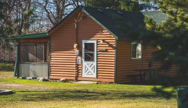 3BR Lakefront Cabin w/Private Launch & Dock in Backus