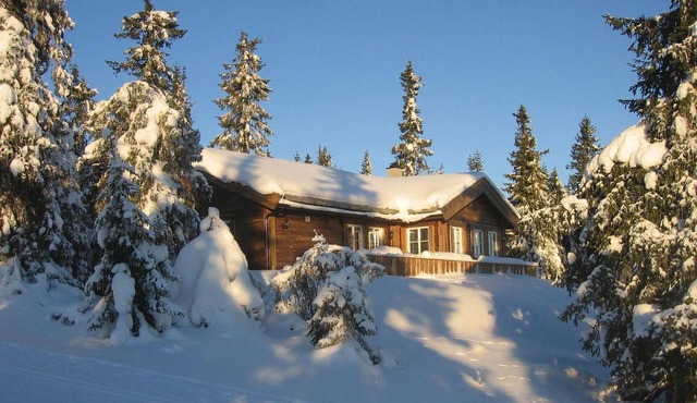 Amazing home in Sjusjøen with sauna in Sjusjøen