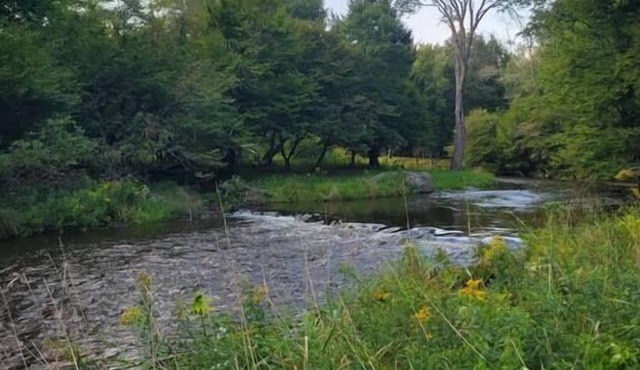 Bethel Woods Cabin with River in Bethel