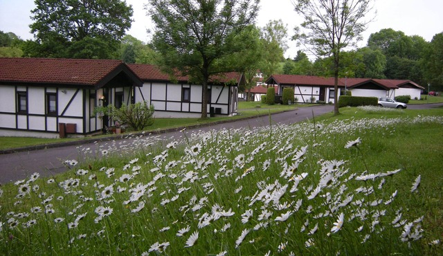 Bungalow 23 for up to 4 people at the RHÖN RESIDENCE vacation complex. in Dipperz