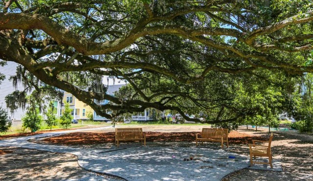 Celtic Carriage House in Charleston