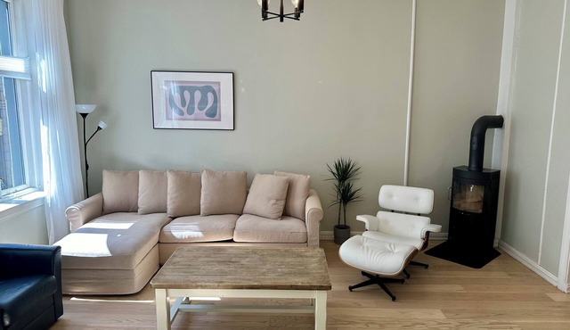 Classical 3 bedroom, 2 bath, minutes walk from Royal Palace, Shopping & Downtown in Oslo