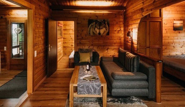 Comfort holiday home Tannenrauschen - Comfort holiday home Tannenrauschen in Braunlage