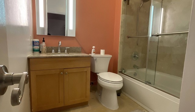 Cozy and Spacious 2 Bedroom Condo in Brooklyn