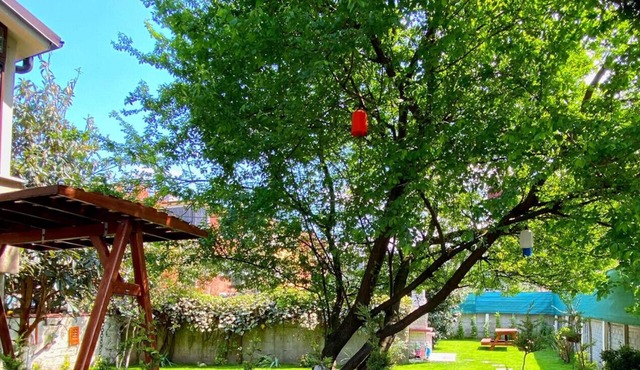 Cozy Flat with Backyard and Fireplace in Sapanca in Sapanca