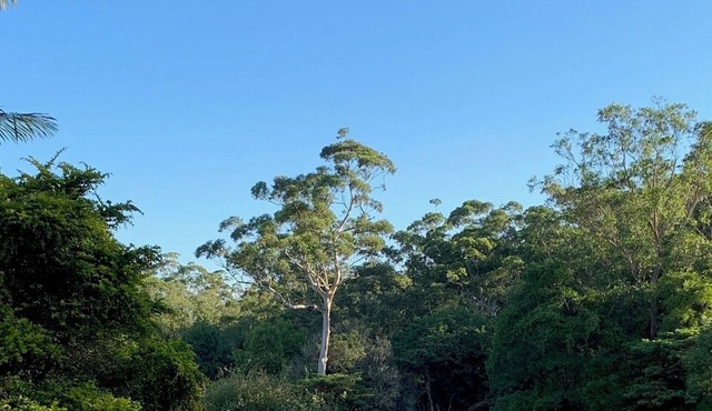Dads Art Studio in Maleny