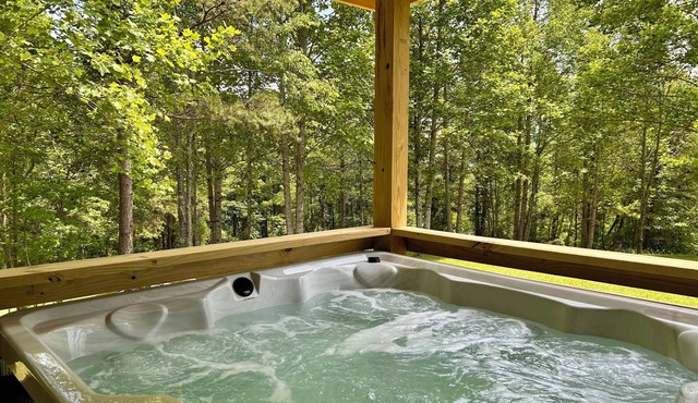 Eagle's Nest Jacuzzi Pet Friendly Mtn Views in Flat Rock