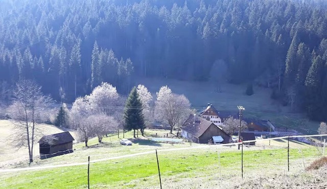 Farmhouse Black Forest Seewald 100% nature bathing lake in Seewald