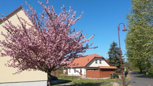 Ferienwohnung Störmthaler See in Großpösna