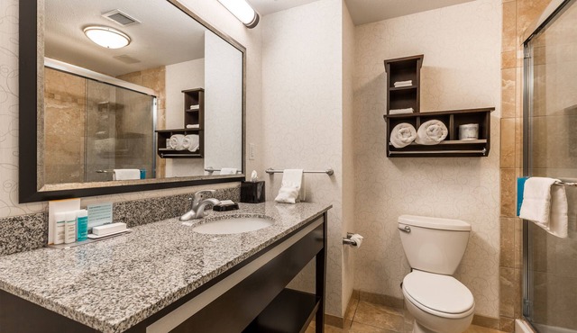 Hampton Inn & Suites by Hilton Lethbridge in Lethbridge