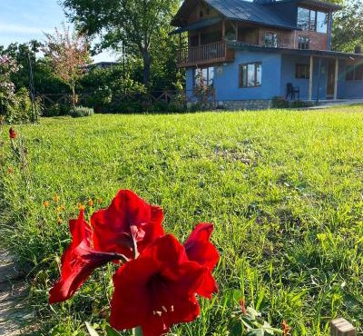 Isabella Kırsal Yaşam Evi in Fatsa