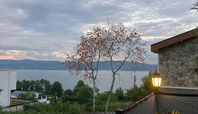 Liya Villa in Sakarya
