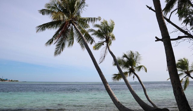 Maldives:Charming 5-bedroom lodge with AC in beautiful Fenfushi in Fenfushi