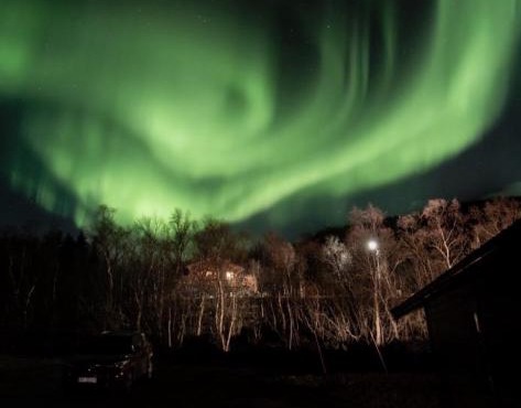 Moose Island- Lofoten, Tromsø, Senja in one step in Ibestad