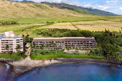 New! Maalaea Banyans 204 - Expansive Ocean Views! in Wailuku