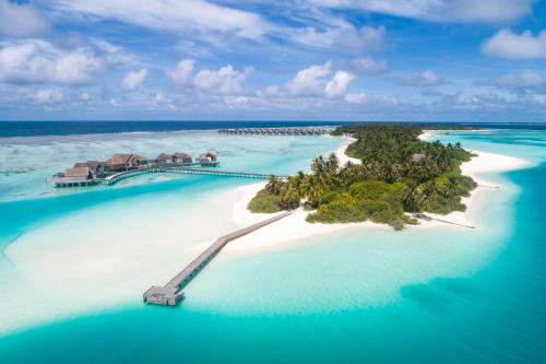 Niyama Private Islands Maldives in Dhaalu Atoll