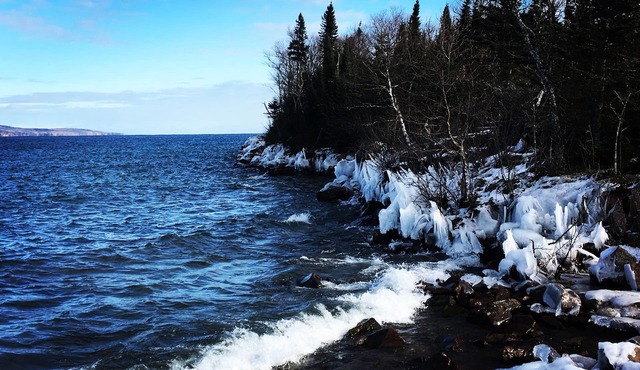 Pet-Friendly Studio on Croftville Road in Grand Marais
