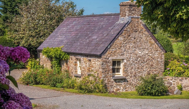 Primrose Cottage - HW7100 in Amroth