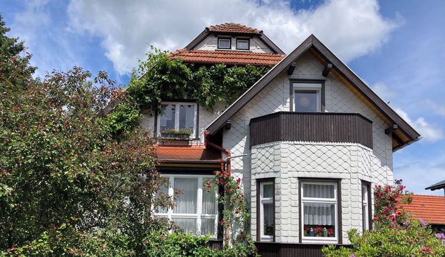 Quiet, cozy apartment in the center of Bad Tabarz in Bad Tabarz