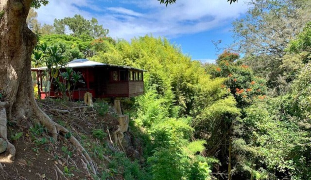 Romantic waterfall cabin in the rain forest in Honokaa