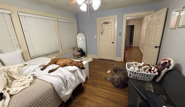 Spacious 4-bedroom house w/massage chair, outdoor patio, near Brookside shops. in Kansas City