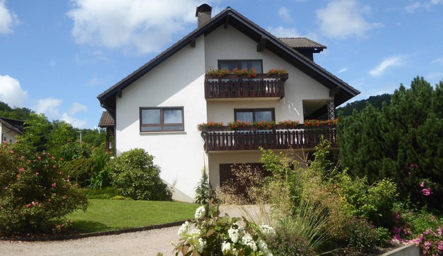 Spacious, well-equipped apartment on the outskirts of the village. Located directly on hiking trails. in Lindenfels