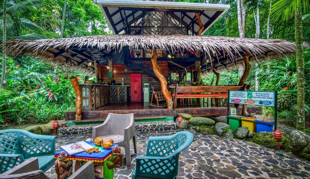 The Dream Palm House in Manzanillo
