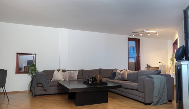 Tjuvholmen Gem with Rooftop Terrace in Oslo