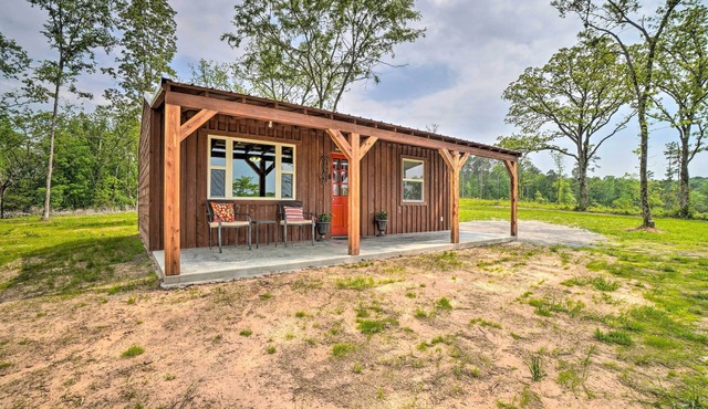 Updated Studio Cabin in Ozark w/Yard & Mtn View in Ozark