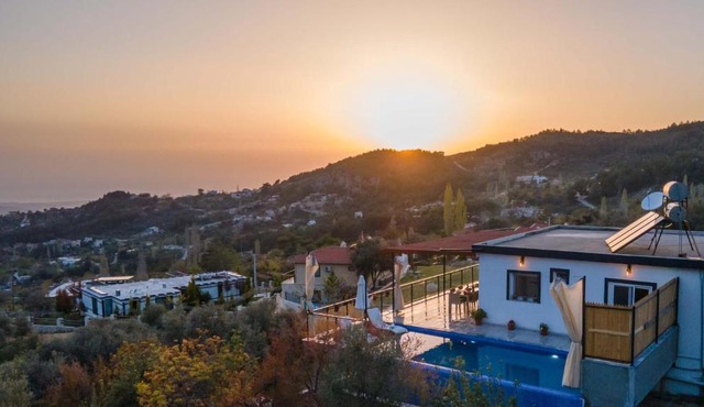 Villa selvi in İslâmlar