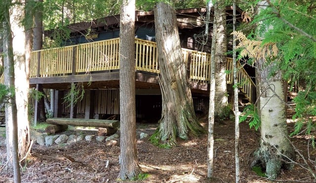 Vintage Adirondack Cabin Saranac Lake - pet friendly in Saranac Lake