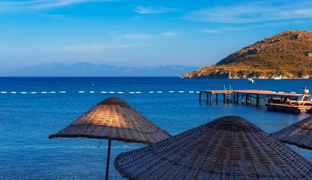 We've got you covered, plus much more ! in Akyarlar