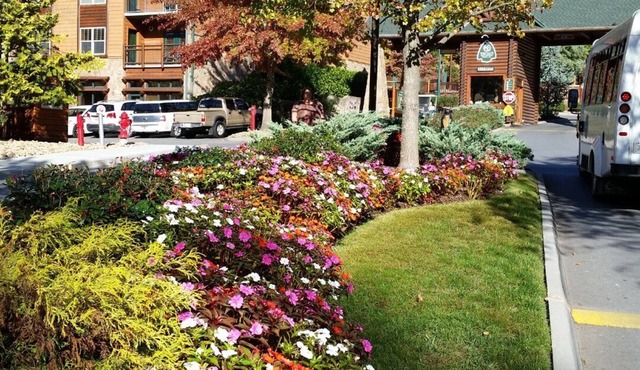 Westgate Smokey MTN Resort. The mountains are calling! in Gatlinburg