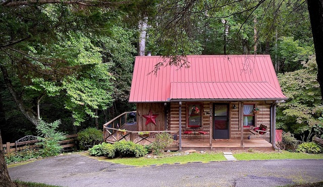 Your Journey’s End! Authentic log cabin, comfortable, modern w/a creek too! in Tiger