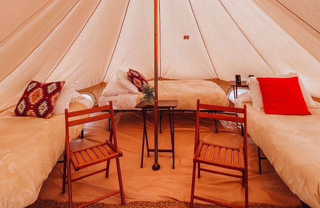 Tent Shared Find The Juniper Trees Sky 