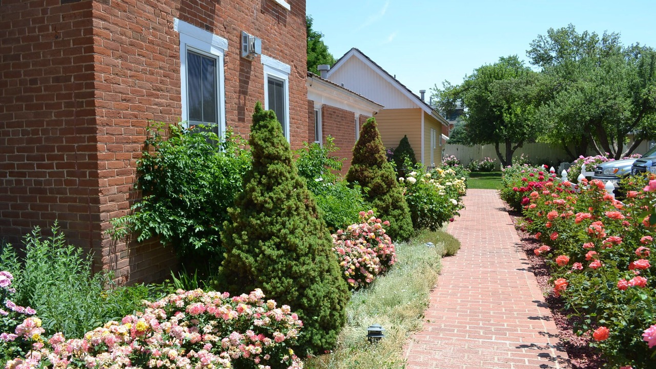 Photo of Outdoor in Snowflake