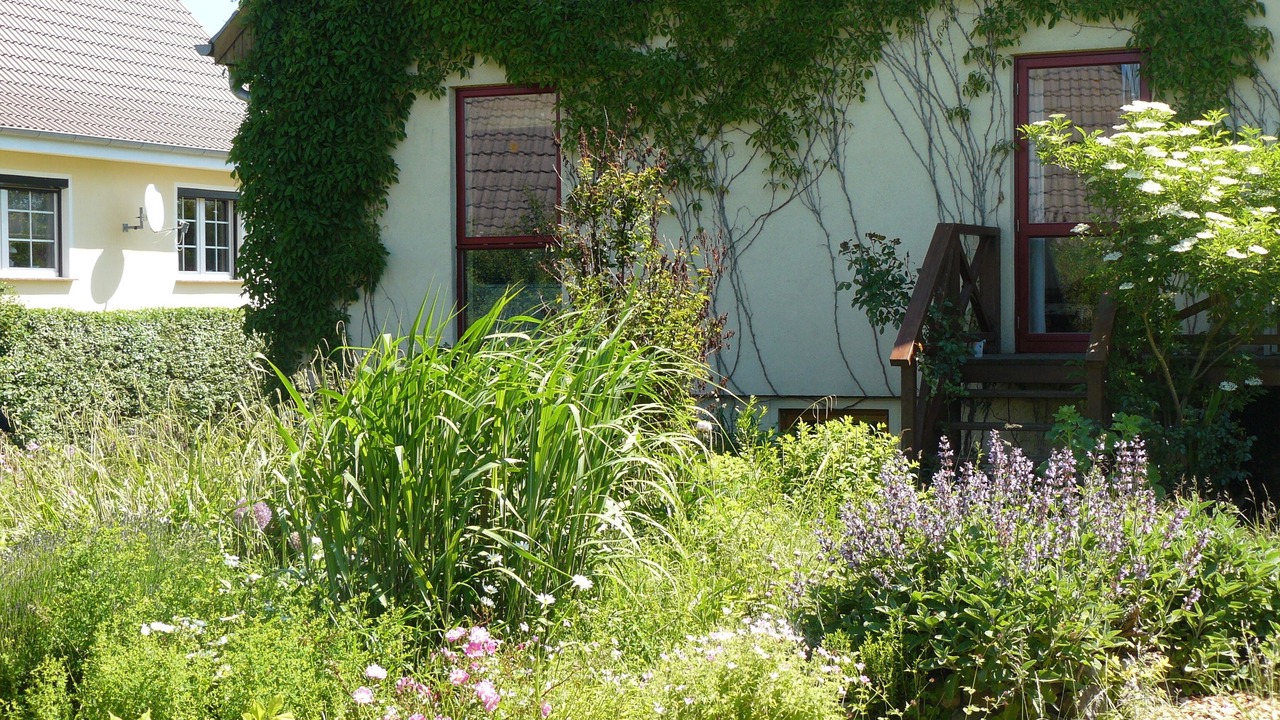 Photo of Outdoor in Schwarbe