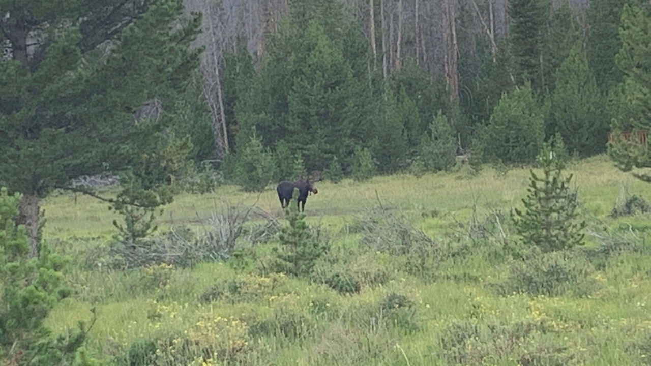 Photo of Others in Grand Lake