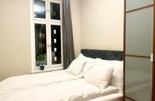 Oslo City Centre Apartment | 4 bed riverside apt