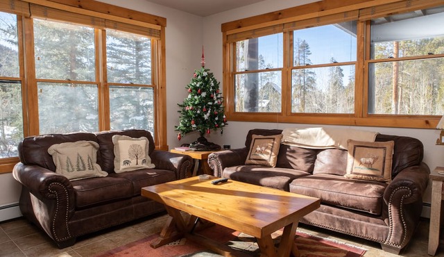 Shuttle to Slopes, Private Entrance, Hot Tub Access, Private Patio with Grill in Keystone